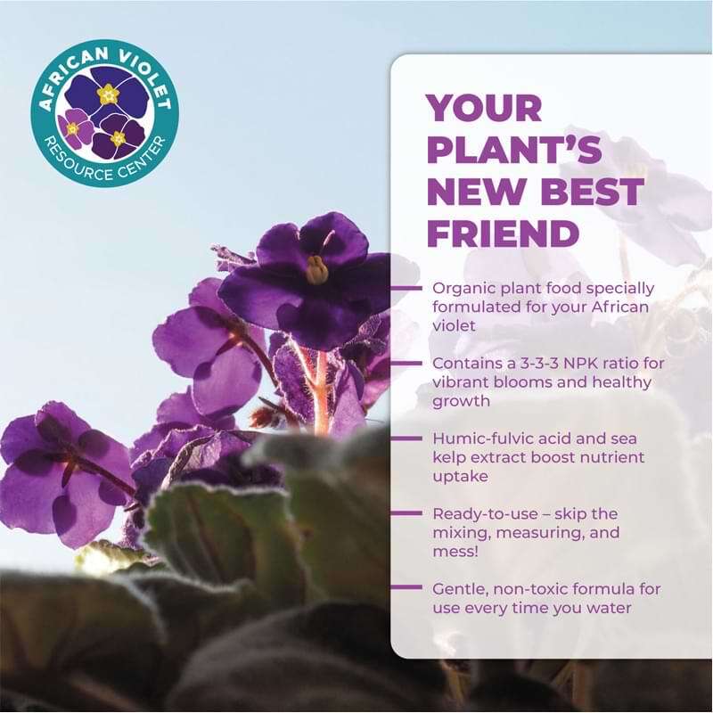 African Violet Plant Food African Violet Resource Center