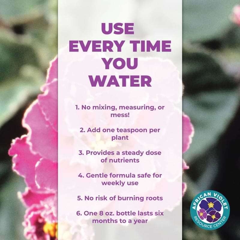 African Violet Plant Food African Violet Resource Center