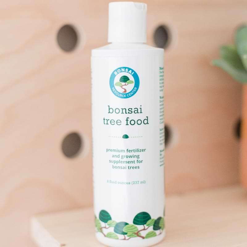 Bonsai Tree Food African Violet Resource Center