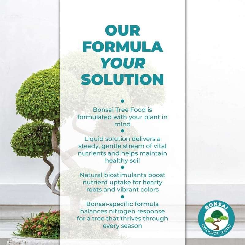 Bonsai Tree Food African Violet Resource Center