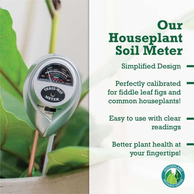 Houseplant Moisture Meter African Violet Resource Center