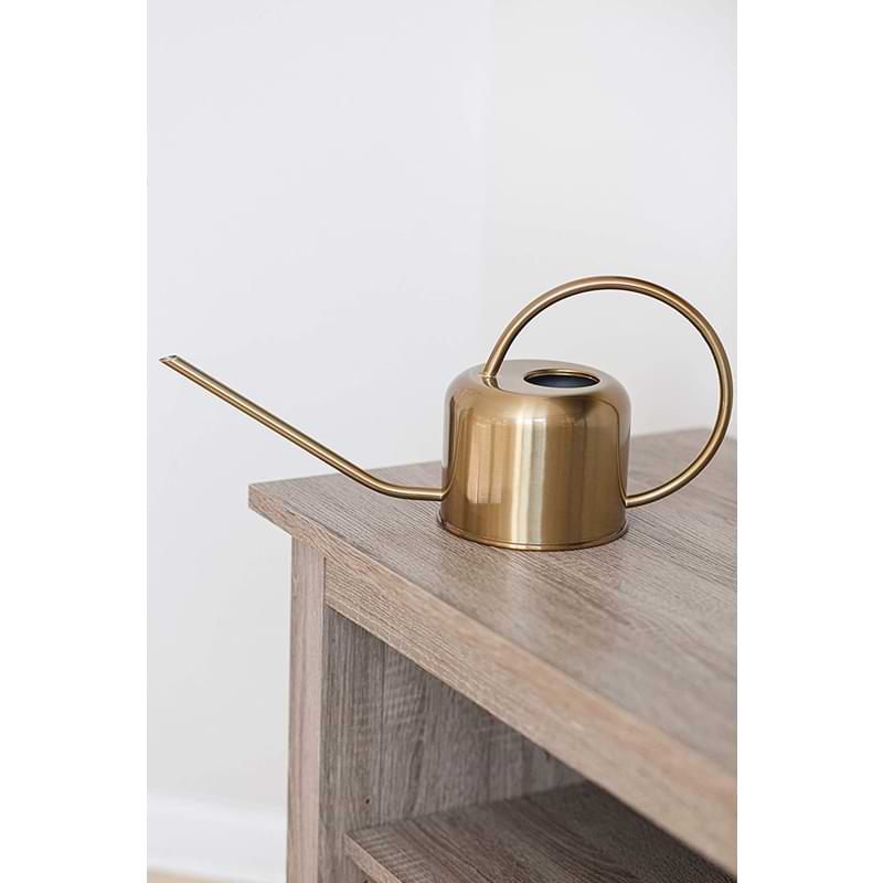 Houseplant Watering Can African Violet Resource Center