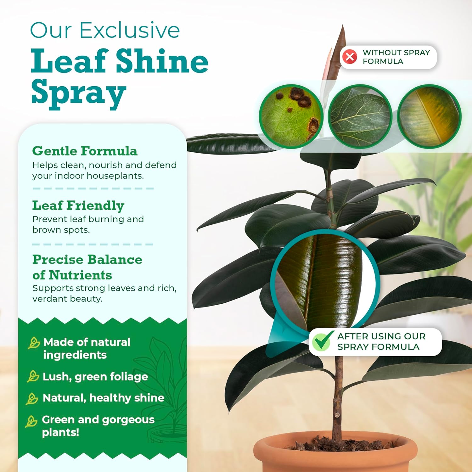 Houseplant Leaf Shine Spray