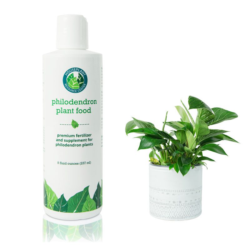 Philodendron Fertilizer Indoor House Plant Fertilizer