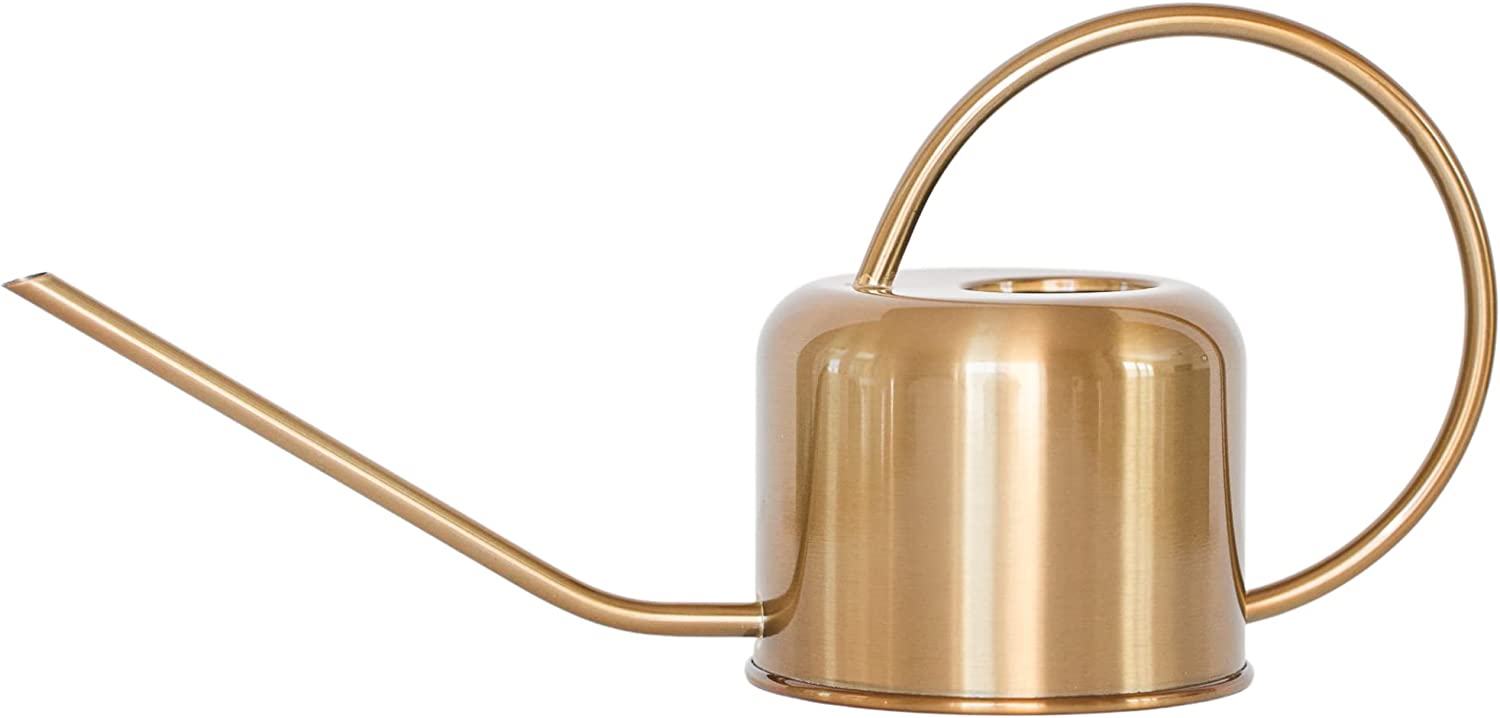 Stainless Steel Watering Can for Houseplants