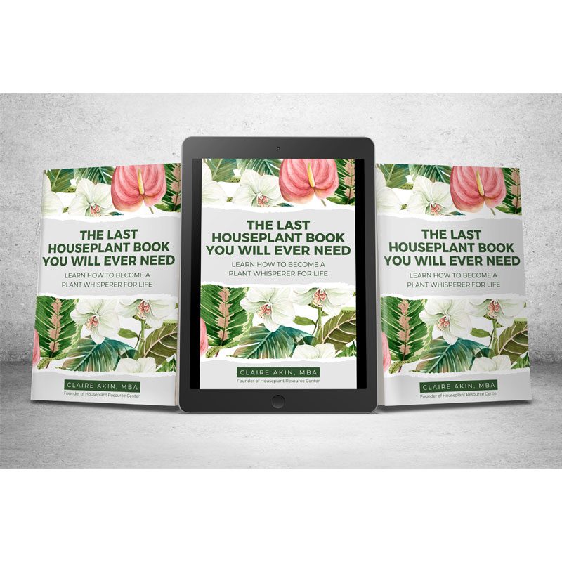 The Last Houseplant Book You Will Ever Need