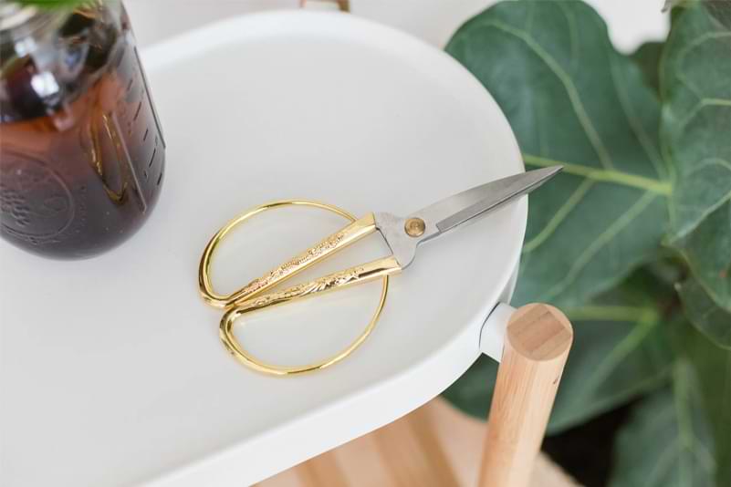 Super Sharp Pruning Shears