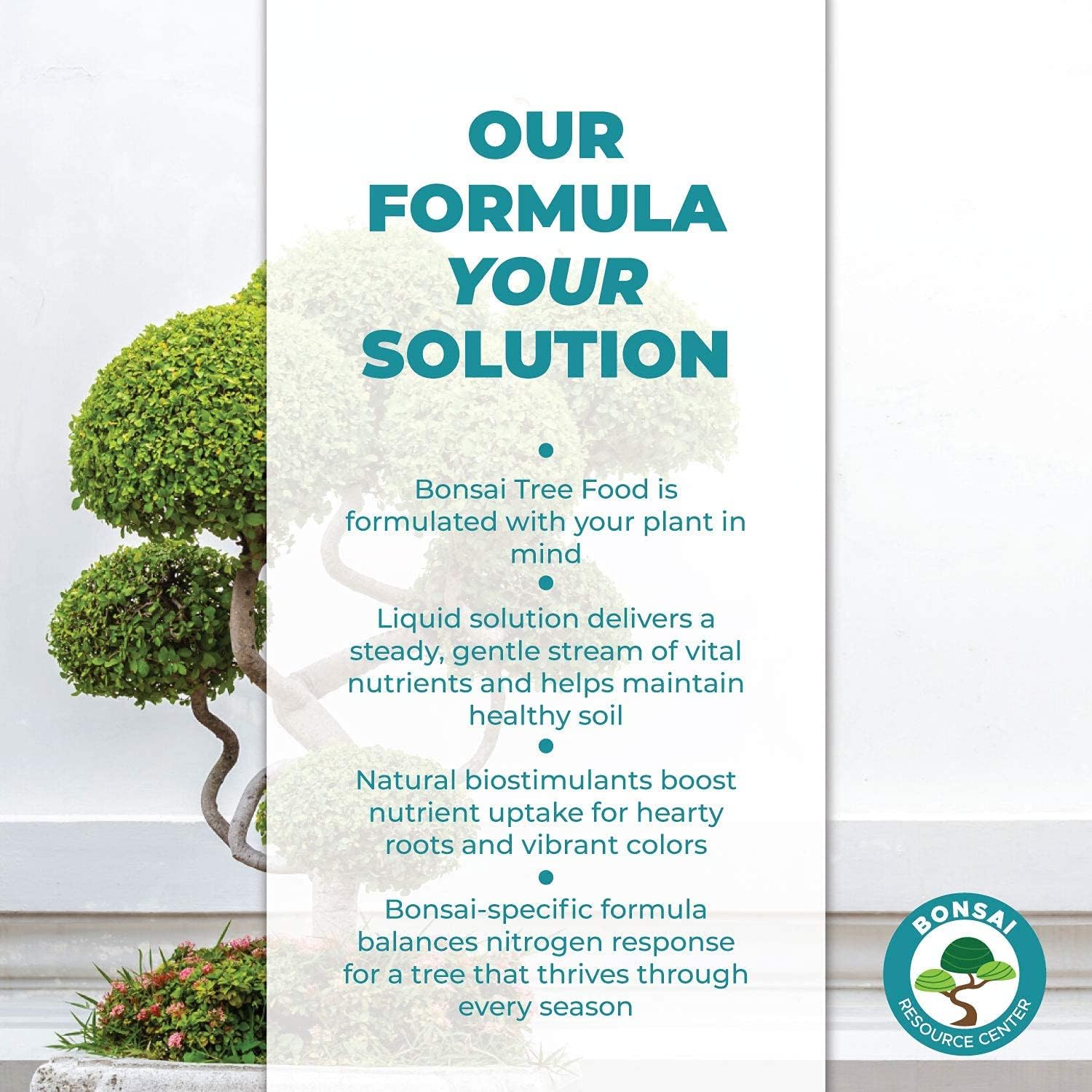 Bonsai Tree Food | Liquid Fertilizer for Bonsai Trees