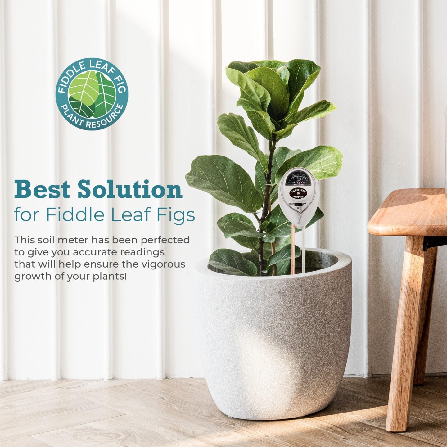 Fiddle Leaf Fig Plant Food 3-in-1 Soil Moisture Meter