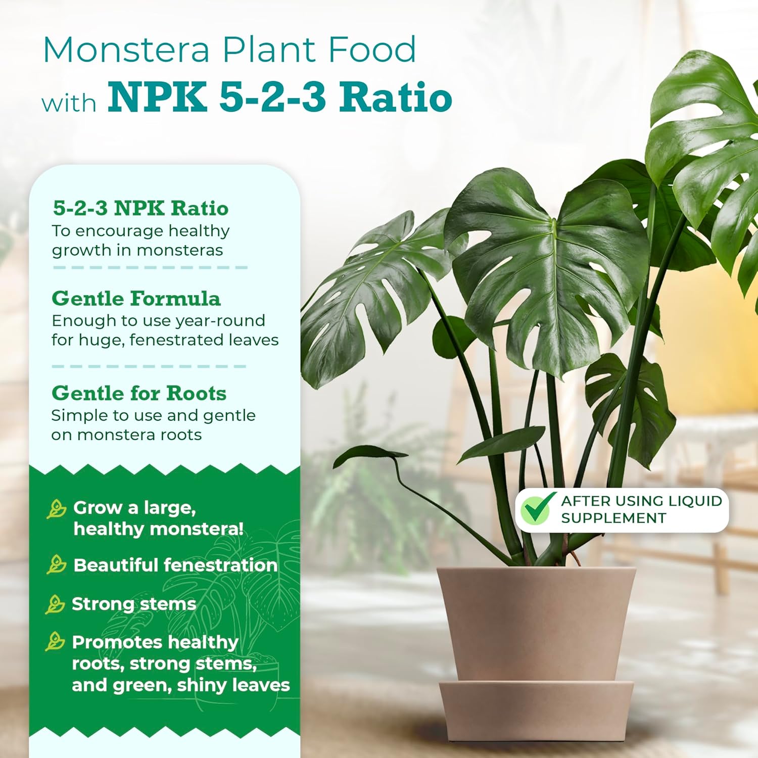 Premium Monstera Plant Food by Houseplant Resource Center