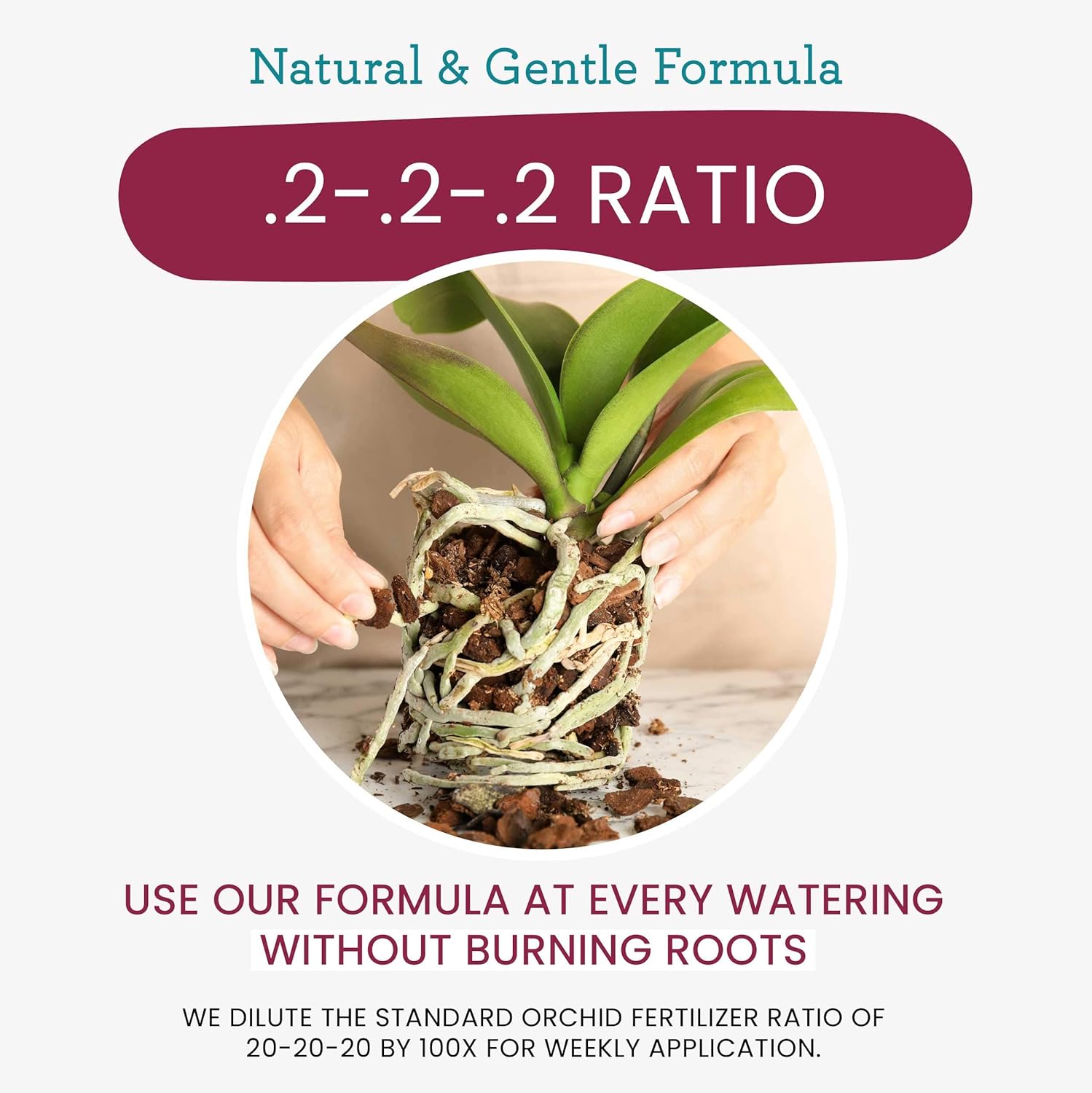 Premium Orchid Food Fertilizer Spray