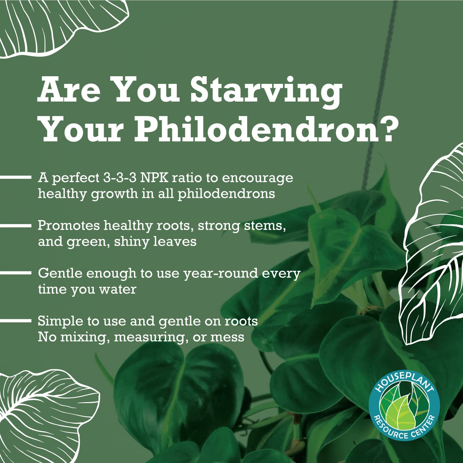 Philodendron Fertilizer  Indoor House Plant Fertilizer