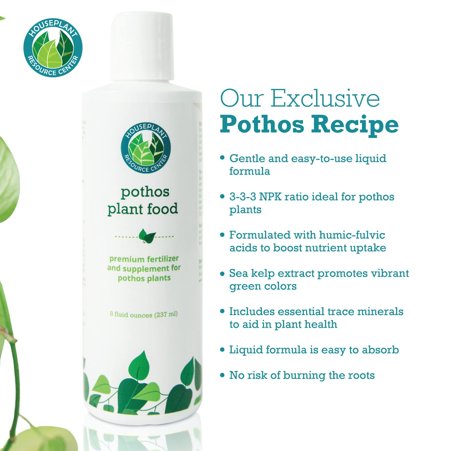 Pothos Fertilizer  Liquid Fertilizer for Indoor House Plants