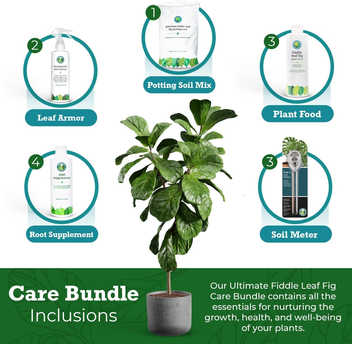 circle plants Black Semi-Circle Plant and Display Stand