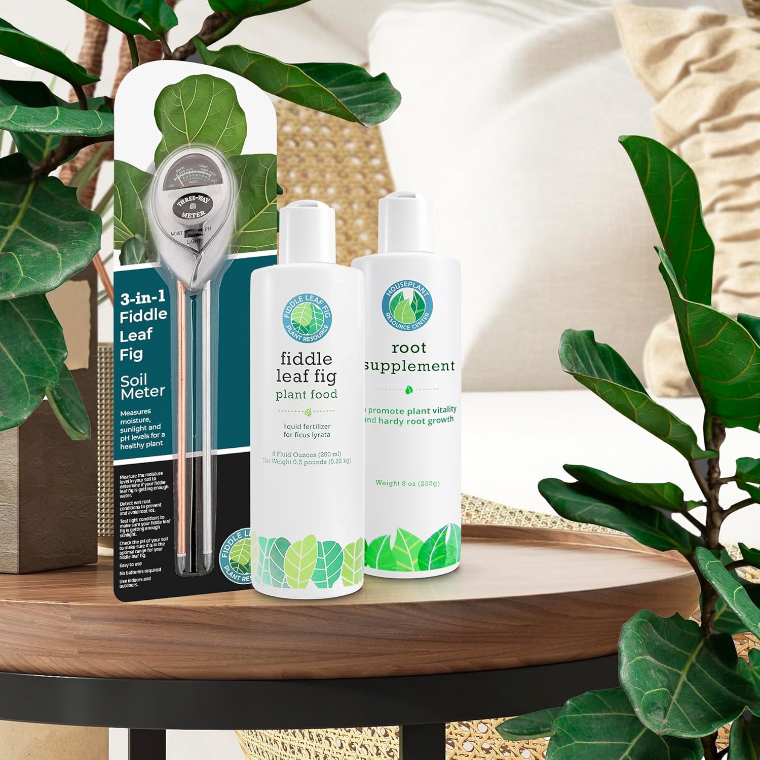 Fiddle Leaf Fig Rescue Bundle | African Violet Resource Center
