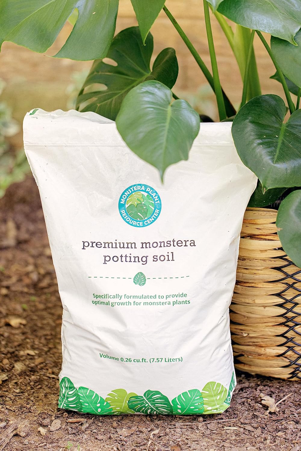 Ultimate Monstera Plant Care Bundle